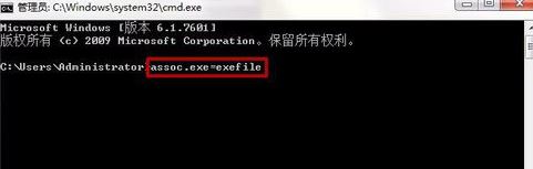 打开命令提示符，输入 assoc.exe=exefile