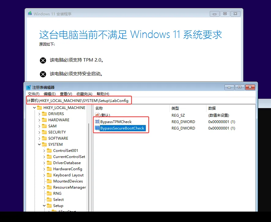 处理Win11限制
