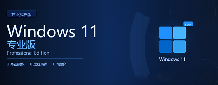 Win11专业版